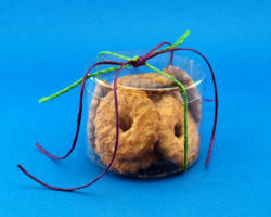 плёнка для ўпакоўкі